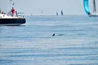 2019 Around Marthas Vineyard B_0188