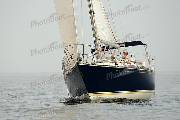 2013 Vineyard Race B 238