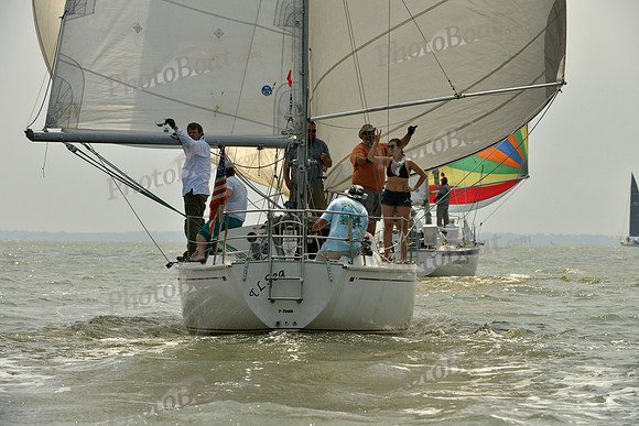 2016 Southern Bay Race Week B_0188