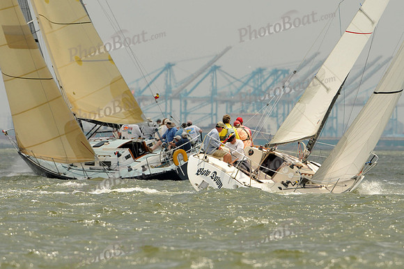 2012 Southern Bay Race Week A 2599