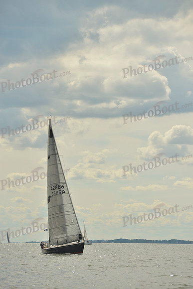 2016 Vineyard Race A_1415