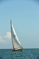 2015 Southern Bay Race Week C 629