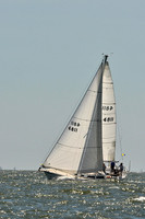 2014 Southern Bay Race Week D 468