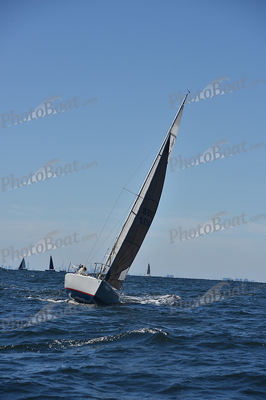 2022 Vineyard Race A_0209