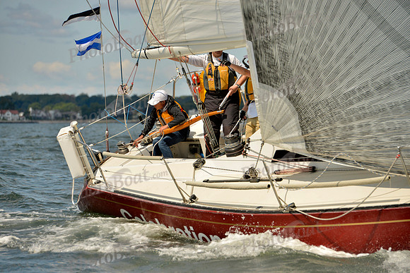 2017 Stamford Denmark Race_0782