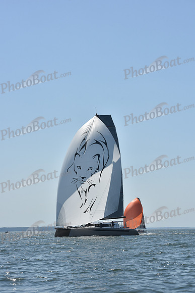 2019 Vineyard Race A_2371