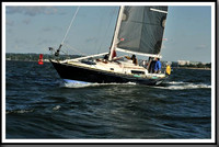 proof_2010_Vineyard_Race_0017