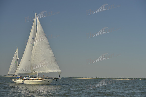 2017 Southern Bay Race Week B_0175
