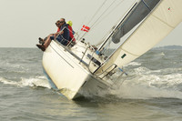 2015 Vineyard Race A 1175