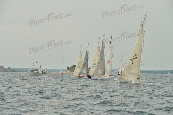 2016 Chester Race Week E_0101