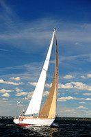 2014 Vineyard Race A 1126