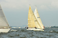 2015 Vineyard Race A 162