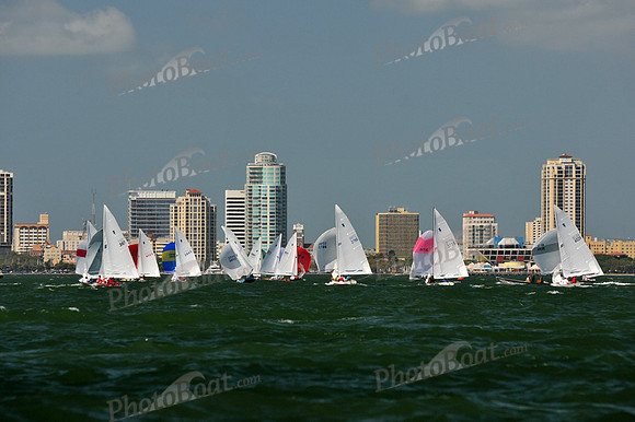 2012 Thistle Midwinters C 358