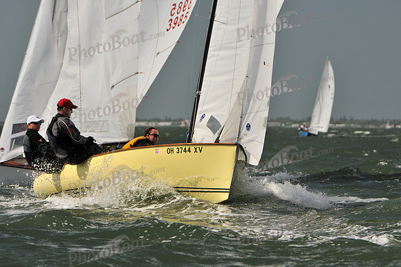 2012 Thistle Midwinters B 558