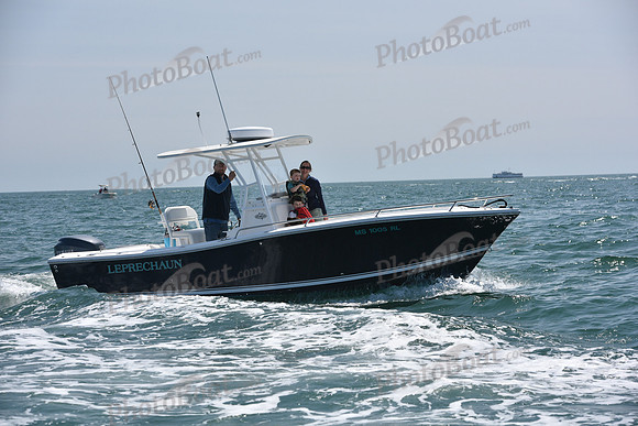 2019 Figawi_0703