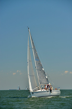 2017 Southern Bay Race Week B_1204