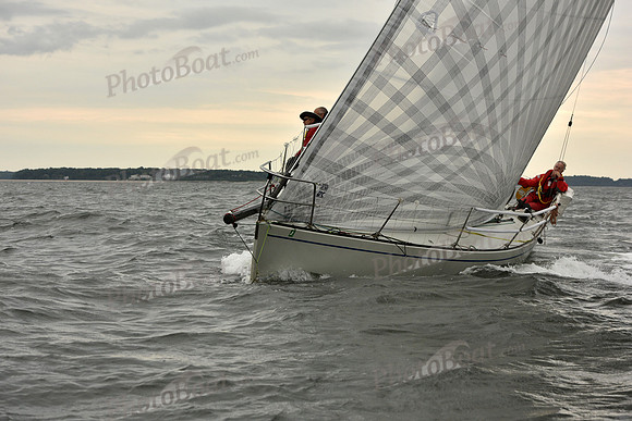 2018 Vineyard Race A_2792