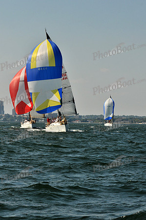 2010_AYC_Fall_2910