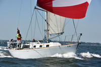 2019 Vineyard Race A_1174