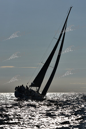 2021 Vineyard Race B 2775