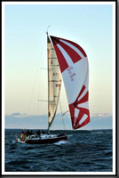 proof_2010_Vineyard_Race_2348