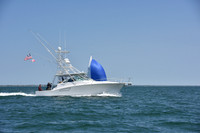 2019 Figawi_1464