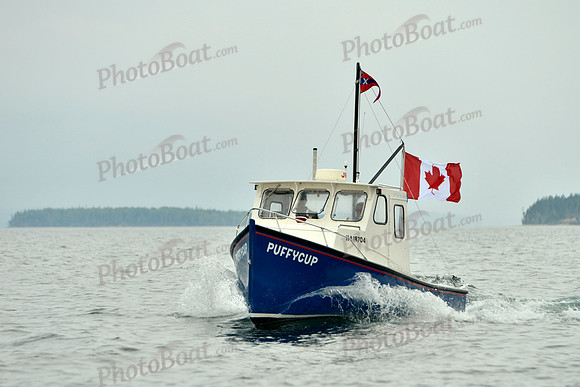 2016 Chester Race Week E_0221