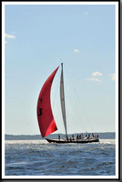 proof_2010_Vineyard_Race_1489
