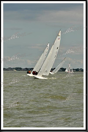 proof_2010_EScows_B 808