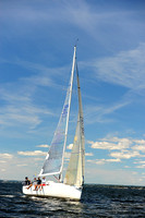 2014 Vineyard Race A 1218