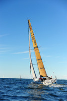 2014 Vineyard Race A 786