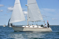 2019 Figawi_0380