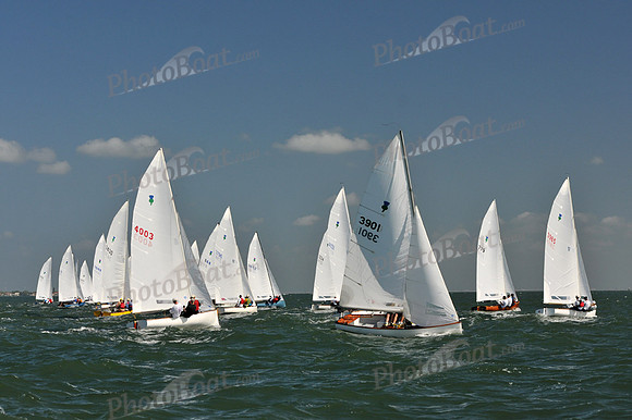 2012 Thistle Midwinters C 042