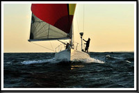proof_2010_Vineyard_Race_2128