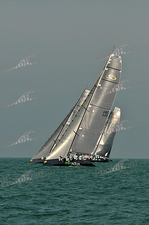 2011_KeyWestRaceWeek_F 297