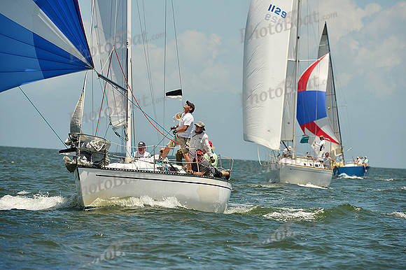 2015 Southern Bay Race Week C 1517