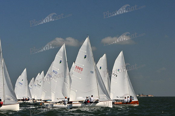 2012 Thistle Midwinters C 036