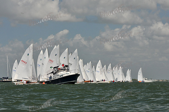 2012 Thistle Midwinters C 523