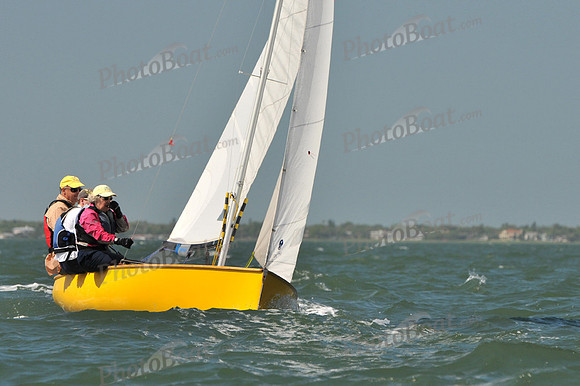 2012 Thistle Midwinters C 306
