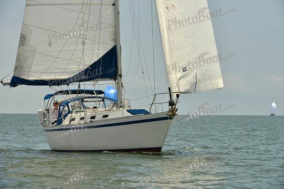 2016 Southern Bay Race Week E_0588