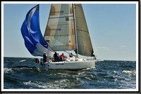 proof_2010_Vineyard_Race_0622