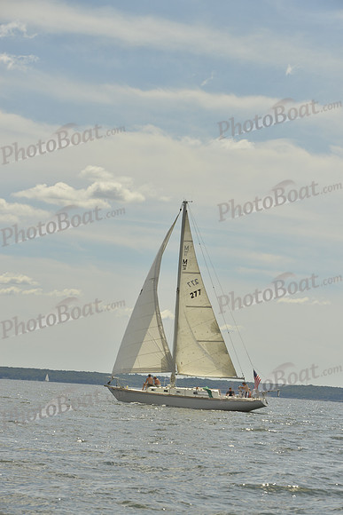 2016 Vineyard Race A_0965