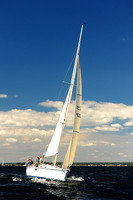 2014 Vineyard Race A 278