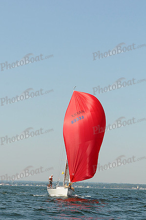 2012 Vineyard Race A 139