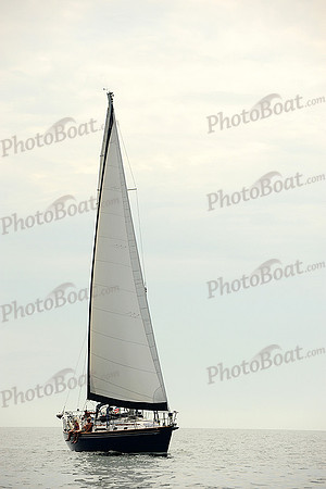 2014 Cape Charles Cup B 499