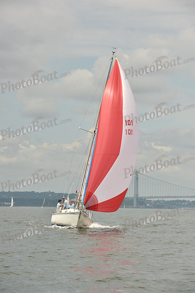 2018 ALIR_1171