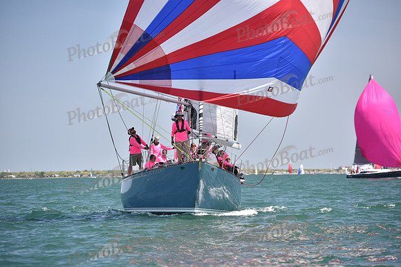2019 Figawi_1213