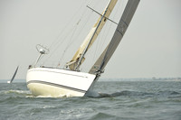 2015 Vineyard Race A 776