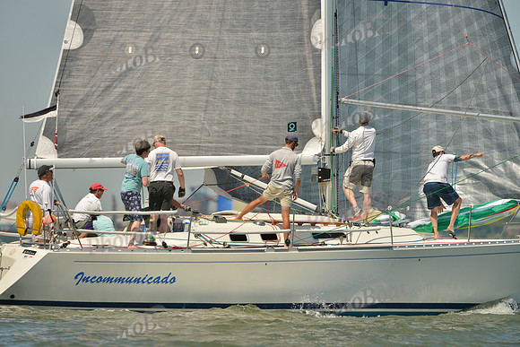 2017 Southern Bay Race Week A_0597