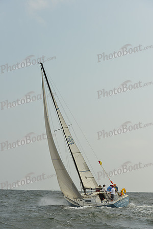 2015 Vineyard Race A 291